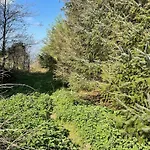 Log With Hot Tub Large Patio Near * 코크