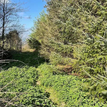 Log With Hot Tub Large Patio Near * Cork