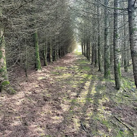 Hébergement de vacances Log With Hot Tub Large Patio Near Cork