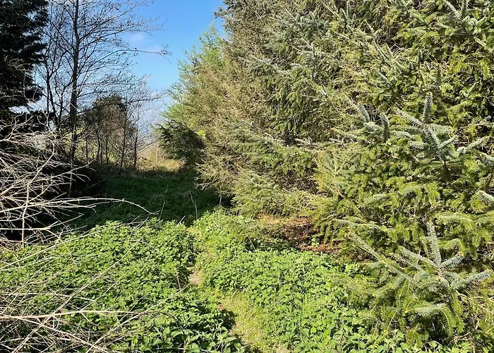 Log With Hot Tub Large Patio Near * Cork